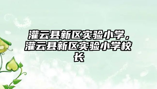 灌云縣新區實驗小學，灌云縣新區實驗小學校長