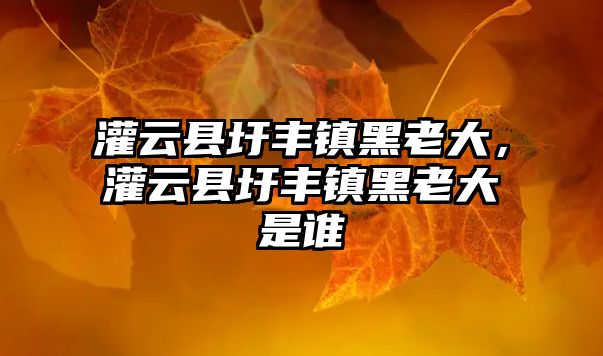 灌云縣圩豐鎮(zhèn)黑老大，灌云縣圩豐鎮(zhèn)黑老大是誰