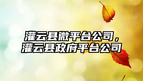 灌云縣微平臺公司，灌云縣政府平臺公司