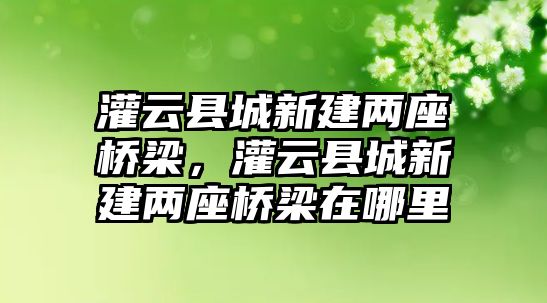 灌云縣城新建兩座橋梁，灌云縣城新建兩座橋梁在哪里