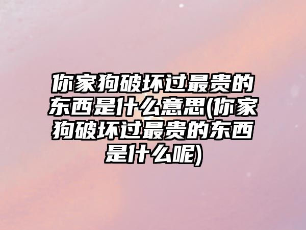 你家狗破壞過最貴的東西是什么意思(你家狗破壞過最貴的東西是什么呢)