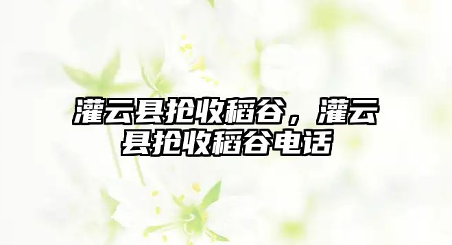 灌云縣搶收稻谷，灌云縣搶收稻谷電話