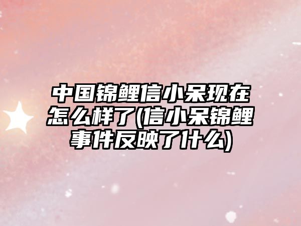 中國錦鯉信小呆現在怎么樣了(信小呆錦鯉事件反映了什么)