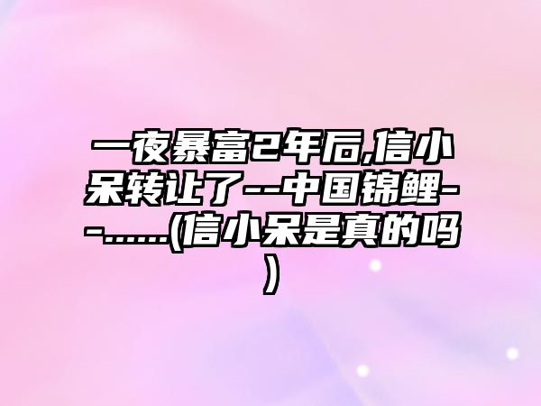 一夜暴富2年后,信小呆轉讓了--中國錦鯉--......(信小呆是真的嗎)