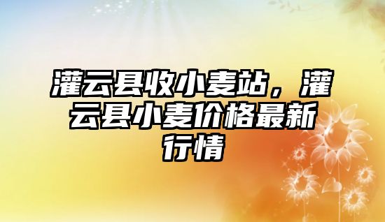 灌云縣收小麥站，灌云縣小麥價格最新行情