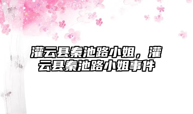 灌云縣秦池路小姐，灌云縣秦池路小姐事件