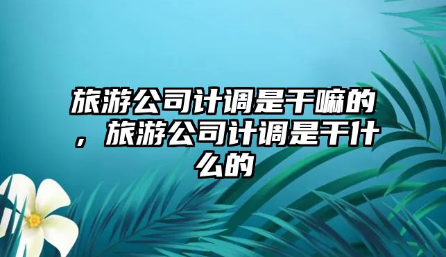 旅游公司計調是干嘛的，旅游公司計調是干什么的